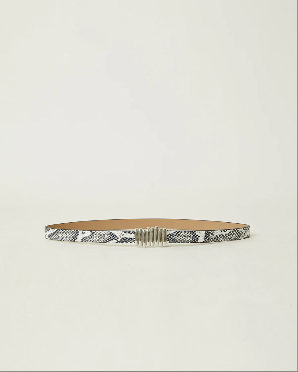 Vesna Mini Python