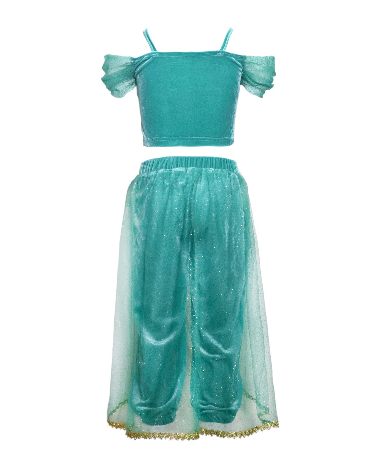 Princess Jasmine Costume