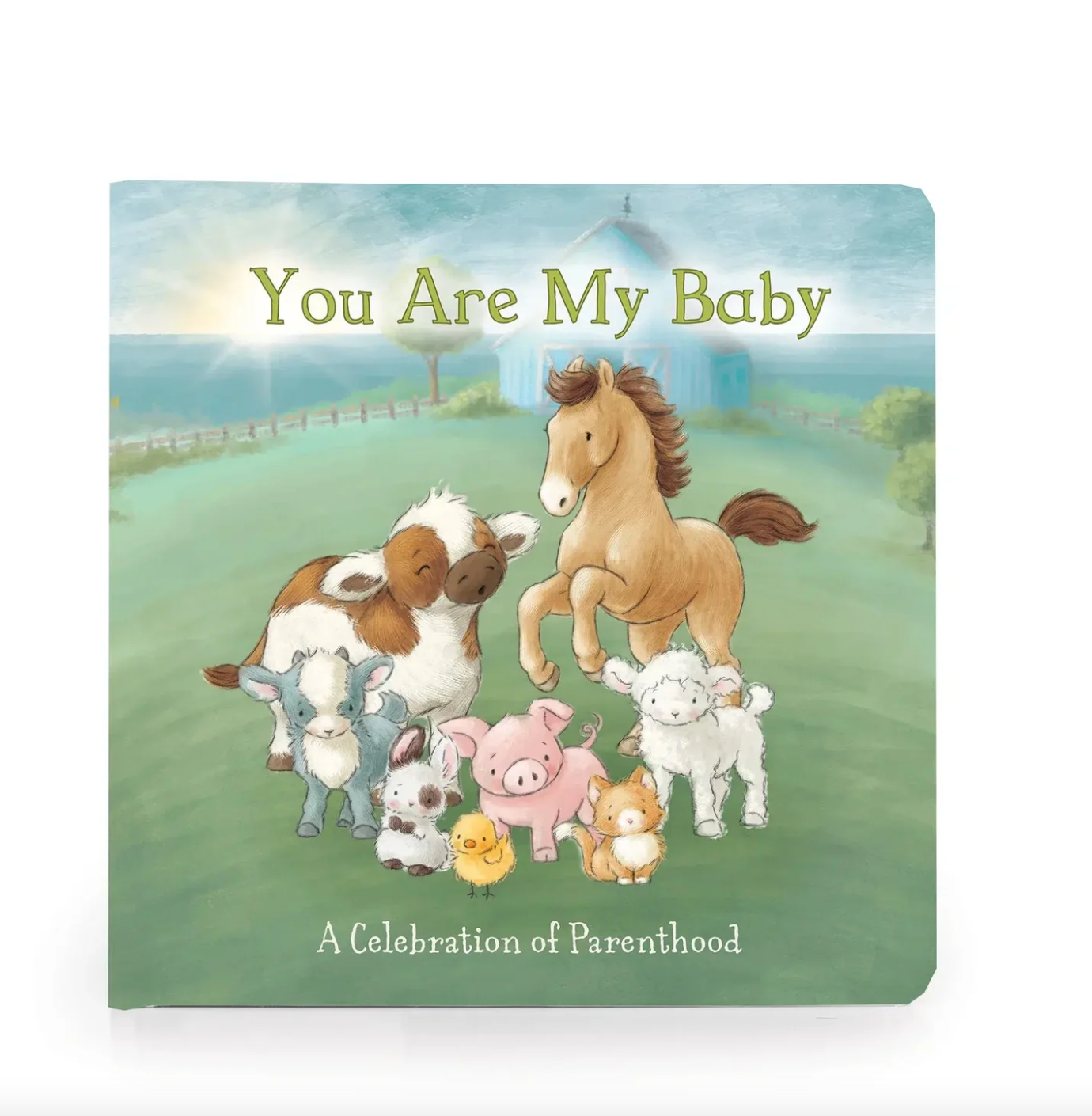 You Are My Baby Book