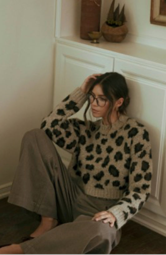 Leopard Knit Pull Over Sweater Top