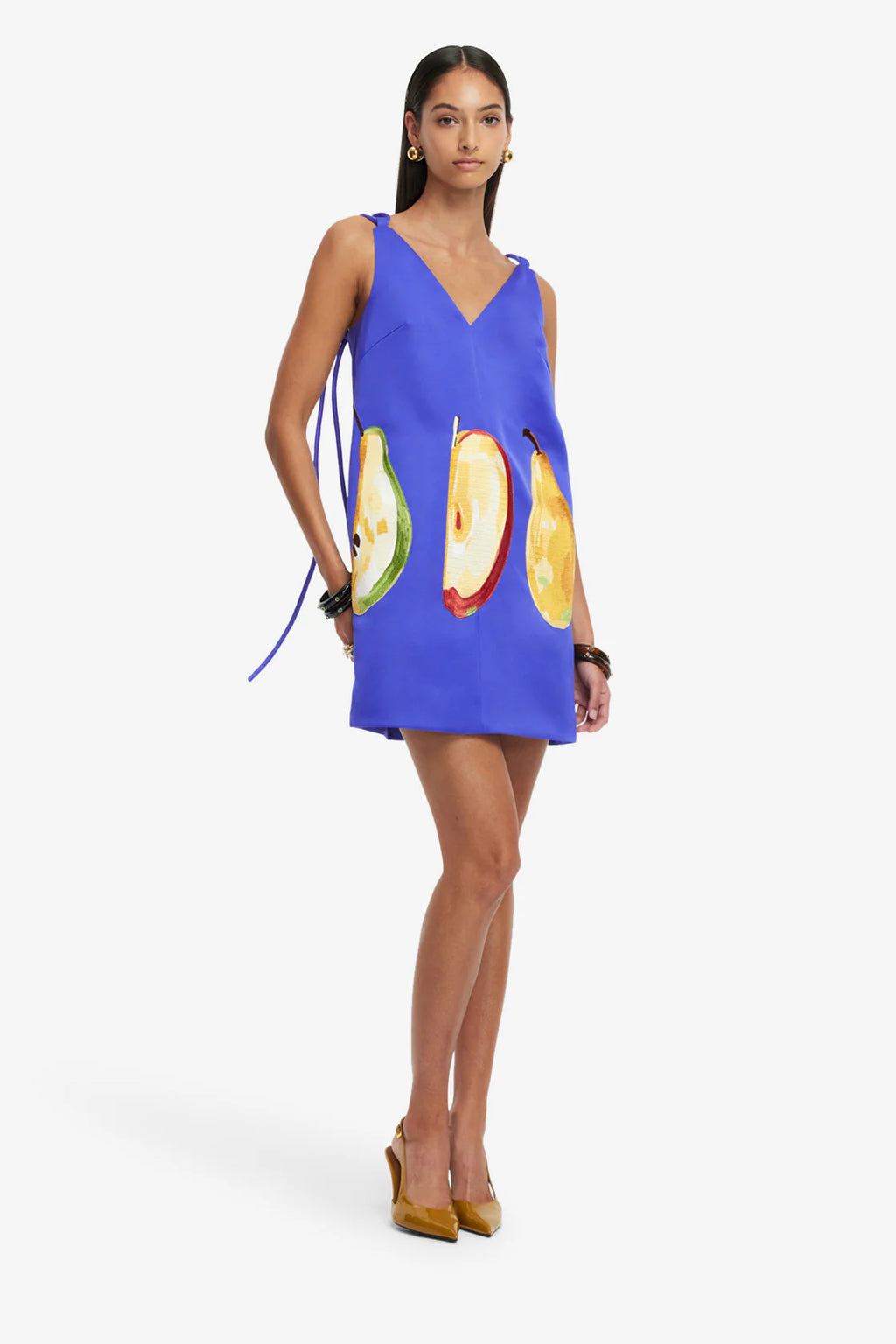 Taylor  Embroidered Mini Dress