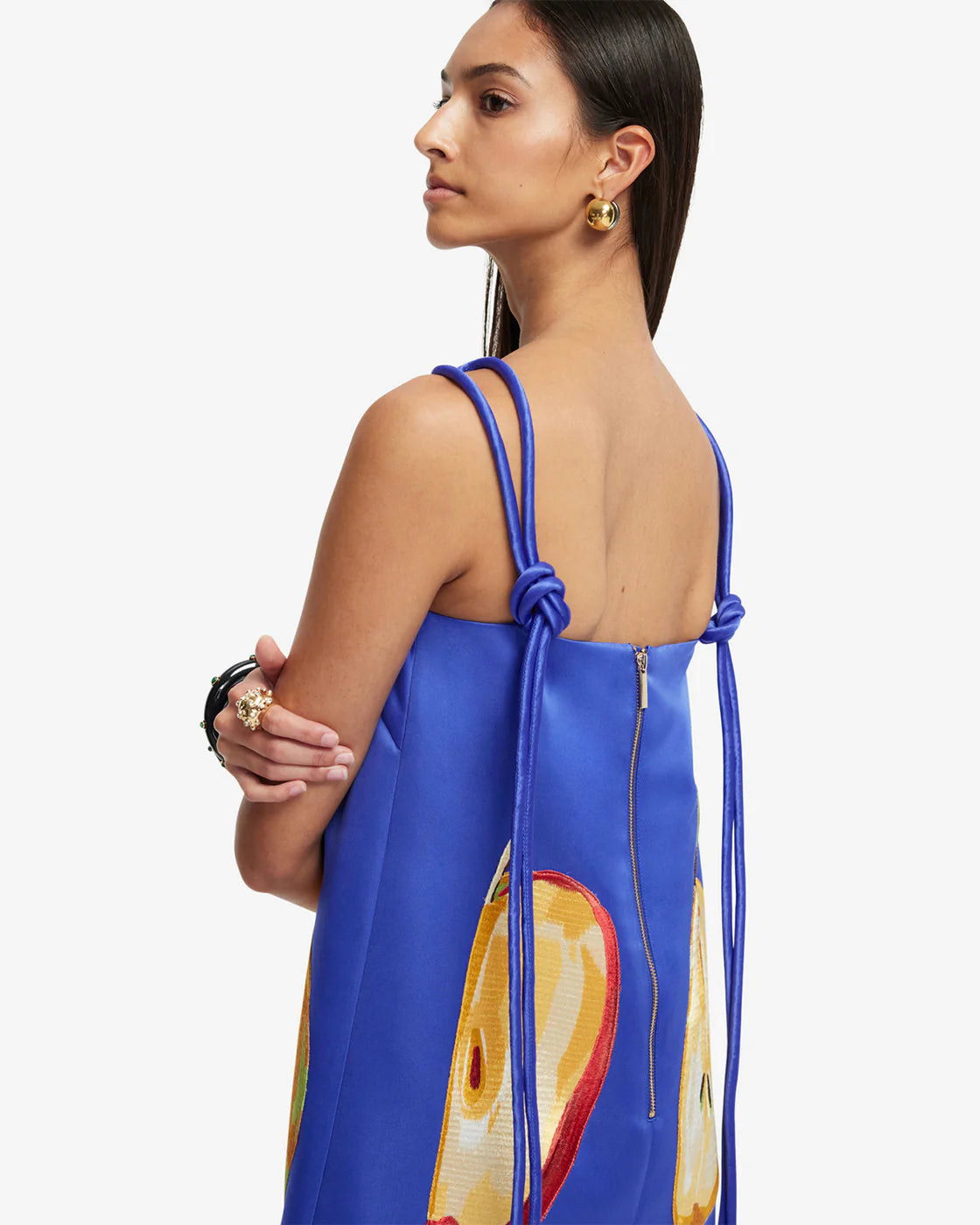 Taylor  Embroidered Mini Dress