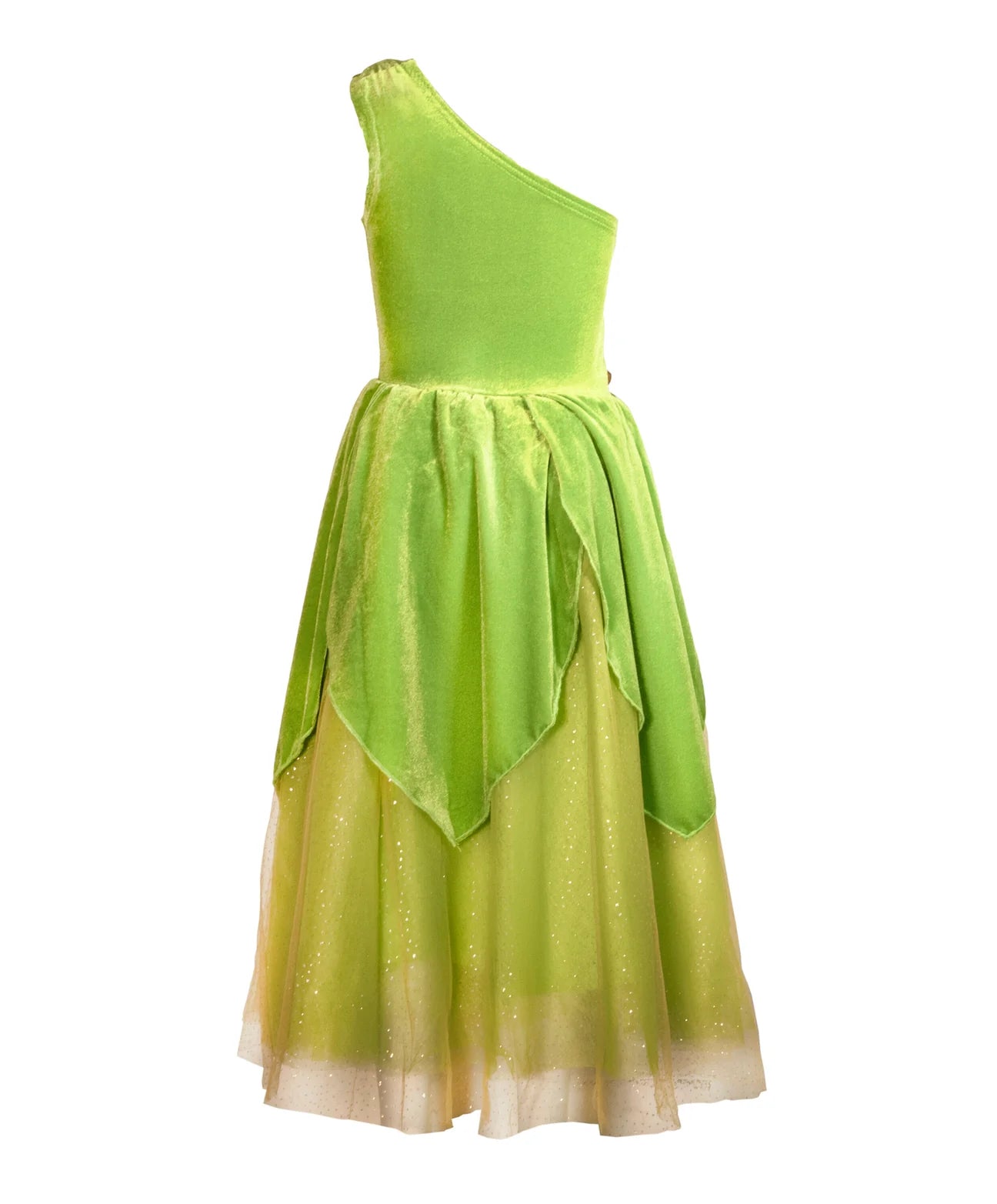 The Frog Princess Costume Dress